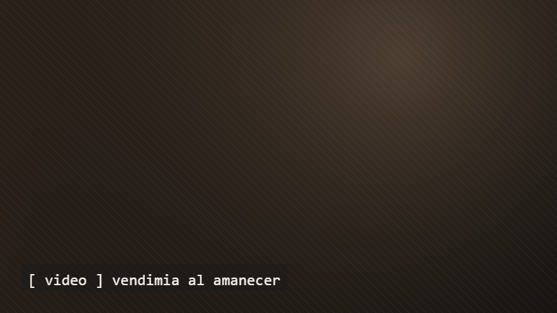 Vendimia al amanecer
